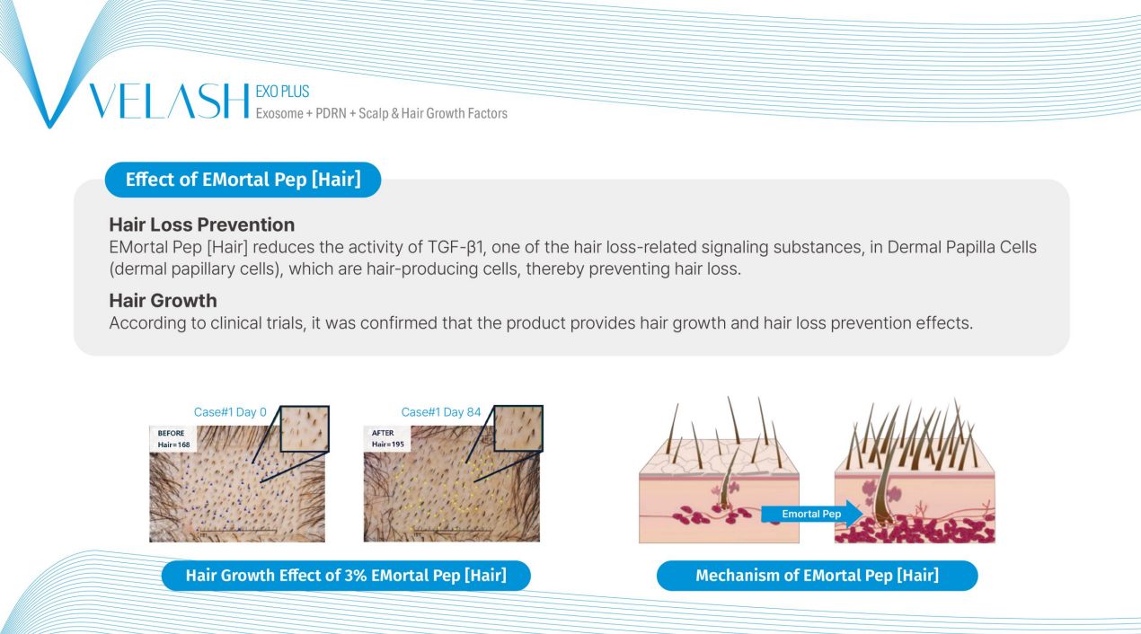 Velash Exo Plus - Exosome + PDRN + Scalp & Hair Growth Factors