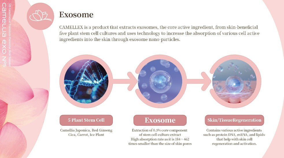 Camellex CAMELLIA EXO N°5