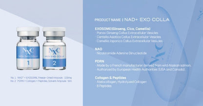 NXC NAD+ EXO COLLA