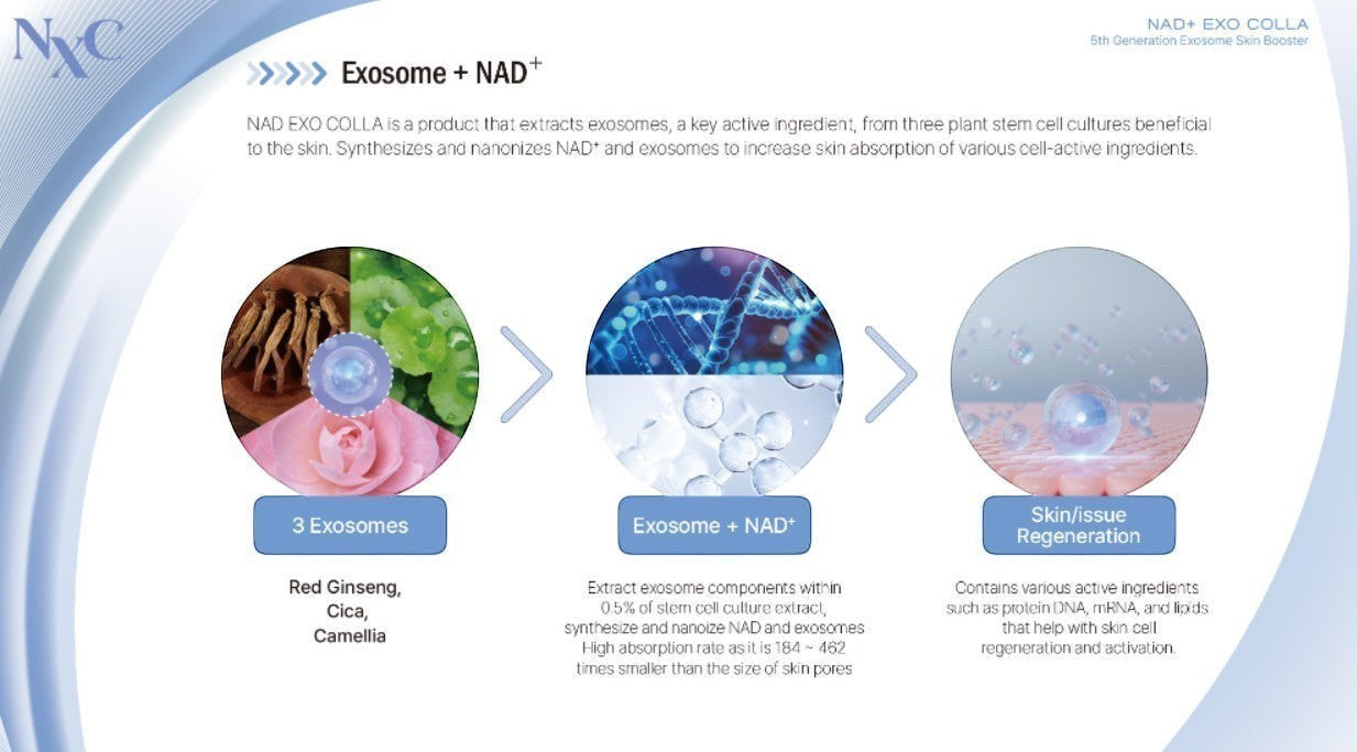 NXC NAD+ EXO COLLA