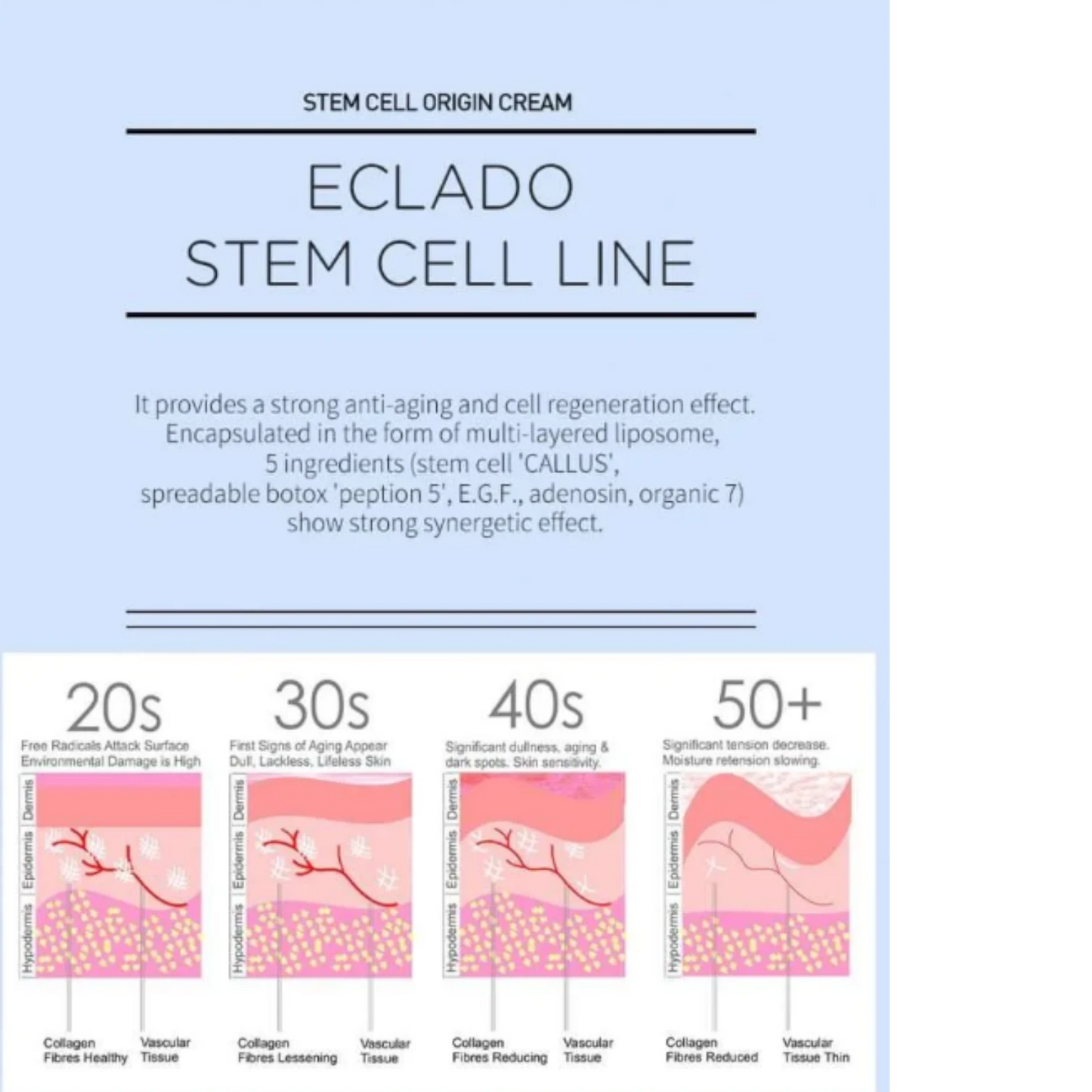 ECLADO Stem Cell Origin Cream