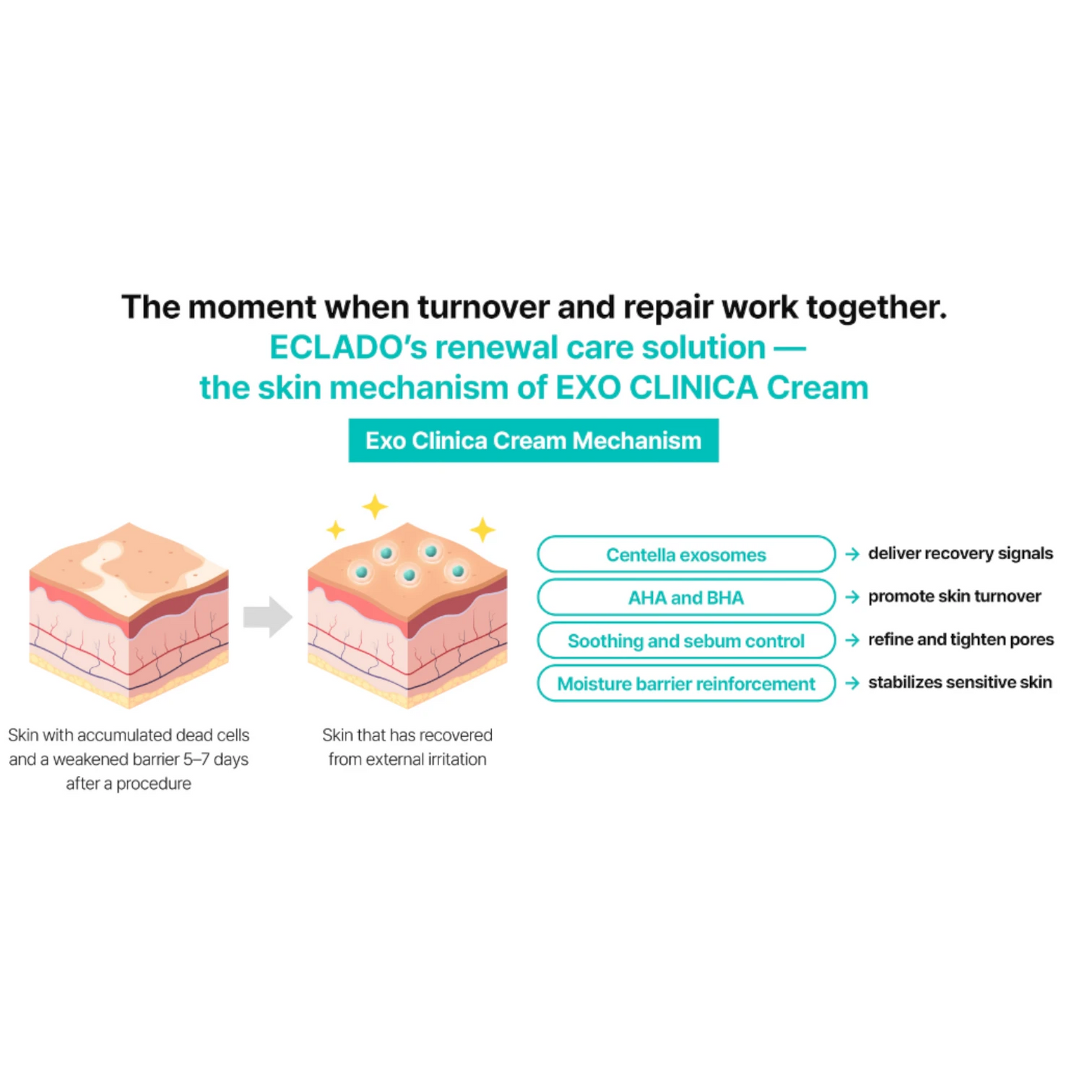 ECLADO Exo-Clinica Cream