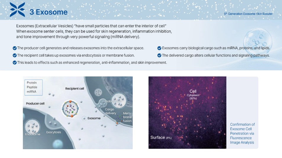 Ectoxe - 5th Generation Exosome Skin Booster