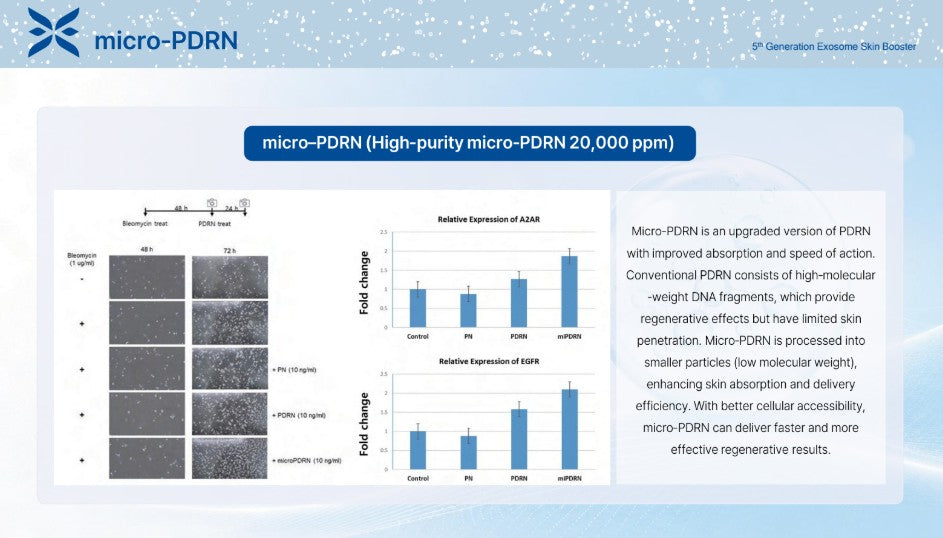 Ectoxe - 5th Generation Exosome Skin Booster