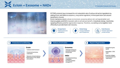Ectoxe - 5th Generation Exosome Skin Booster