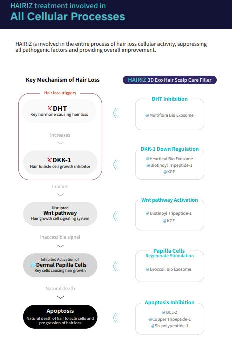 Hairiz 3D Exo Hair Scalp Care