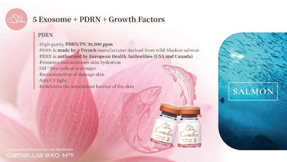 DIY Skincare Lab Camellex Camellia Exo N5 skin booster vials featuring PDRN and salmon-derived ingredients.