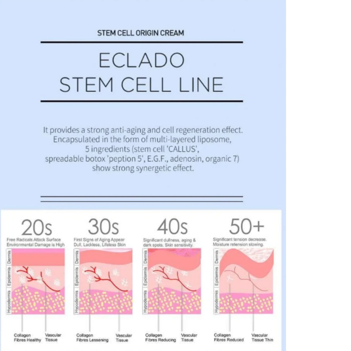 DIY Skincare Lab™ ECLADO Stem Cell Origin Cream infographic showing skin aging stages from 20s to 50s.