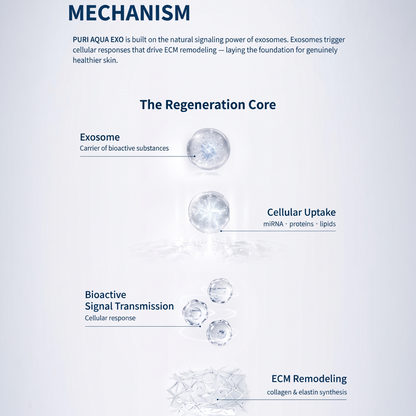DIY Skincare Lab™ PURI AQUA EXO infographic showing the exosome cellular regeneration mechanism and ECM remodeling.