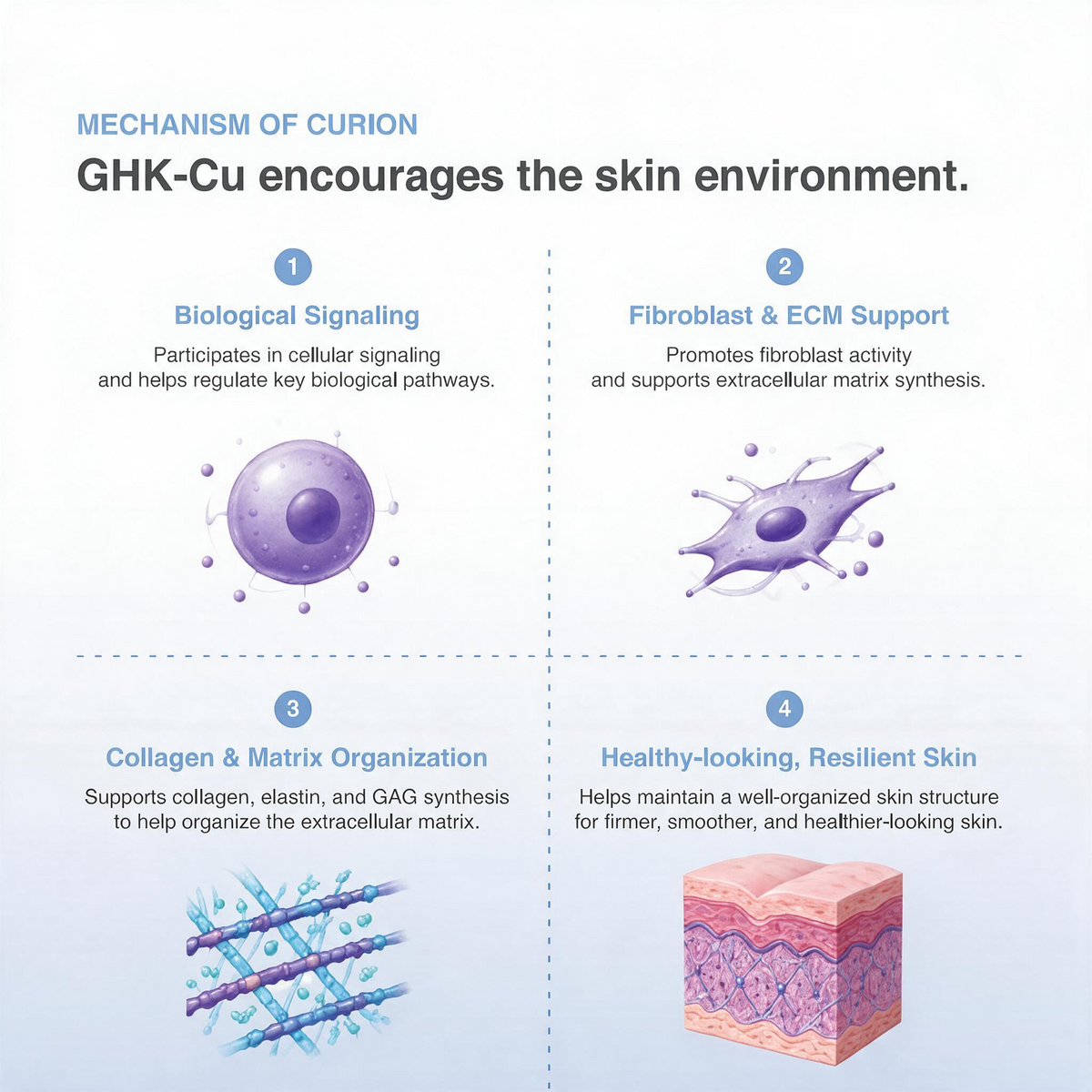 DIY Skincare Lab™ infographic showing the biological mechanism of CURION GHK-Cu copper peptide for skin rejuvenation.