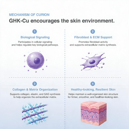 DIY Skincare Lab™ infographic showing the biological mechanism of CURION GHK-Cu copper peptide for skin rejuvenation.