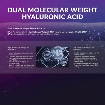 DIY Skincare Lab™ HALO Pro infographic explaining dual molecular weight hyaluronic acid benefits for skin hydration.