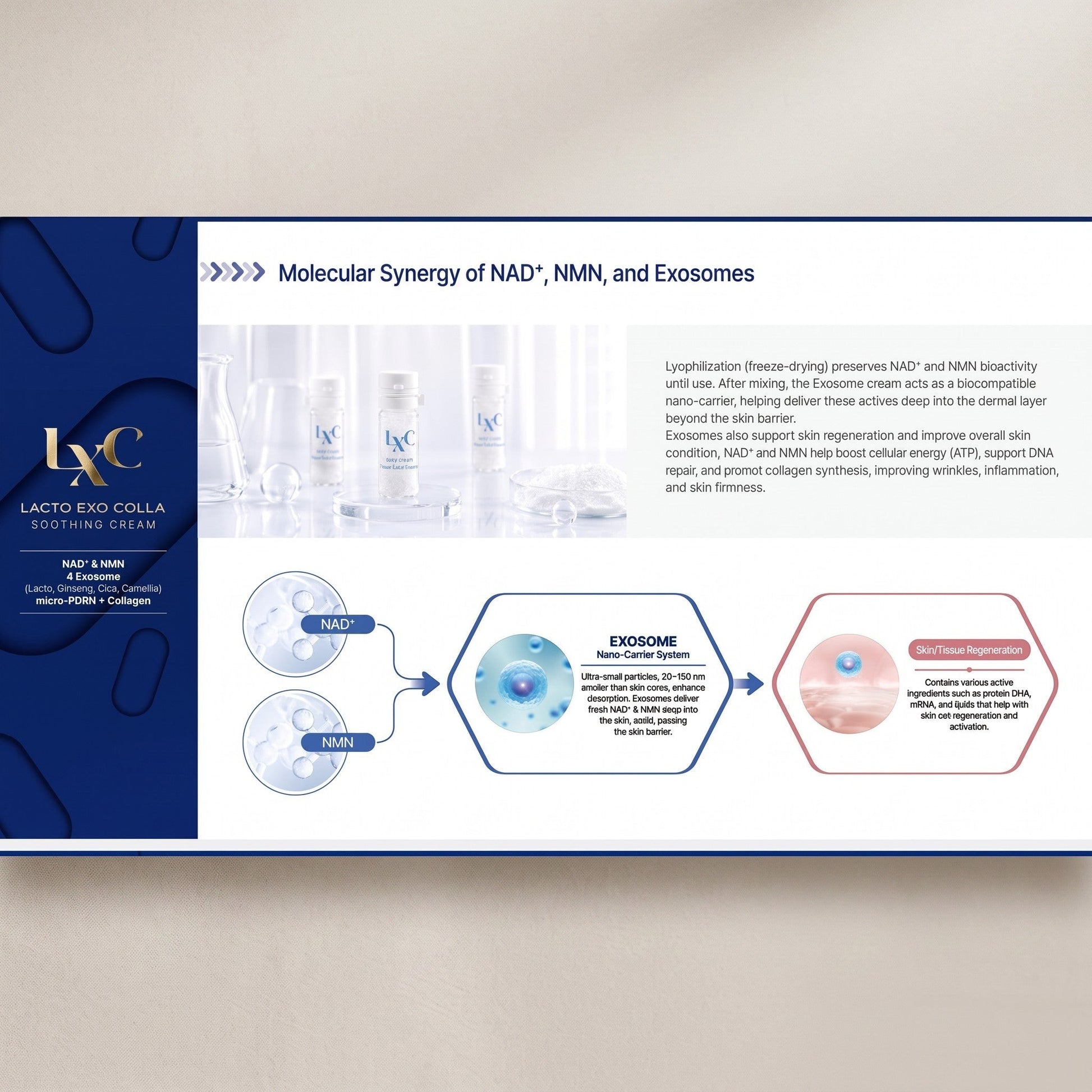 DIY Skincare Lab™ LXC Lacto Exo Colla Soothing Cream infographic showing NAD+, NMN, and exosome molecular synergy.