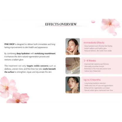 DIY Skincare Lab™ Pink Drop skin booster effects overview infographic showing model results over six months