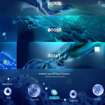 DIY Skincare Lab PURI Heal 3D EXO+ infographic showing exosome signaling, metabolic boosting, and skin reset processes.