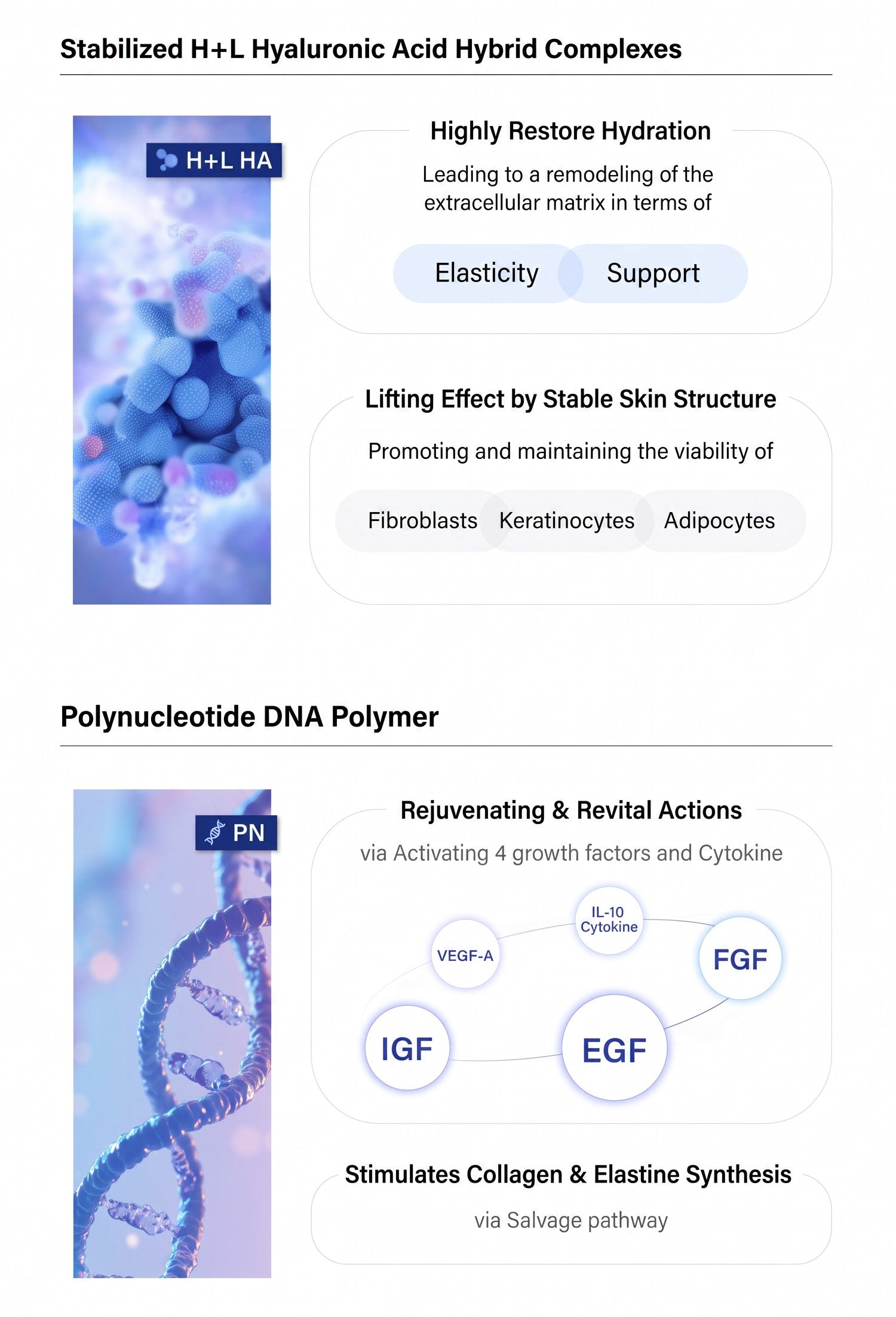 DIY Skincare Lab™ PURIHILO PN infographic showing Hyaluronic Acid and Polynucleotide DNA polymer skin benefits.