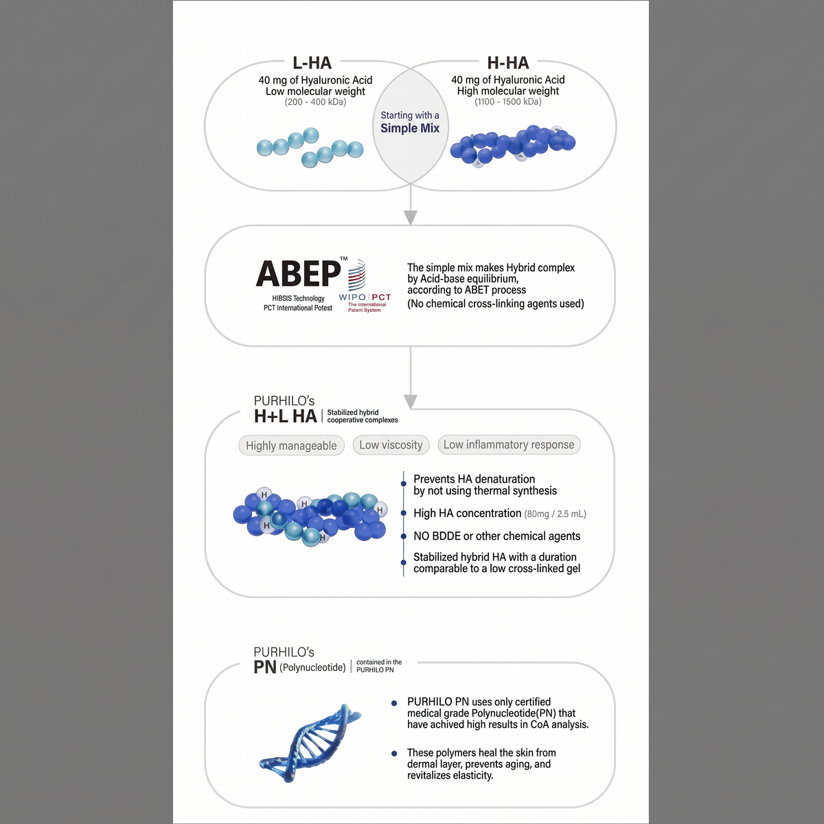 DIY Skincare Lab™ PURIHILO PN infographic showing ABEP hybrid technology, Hyaluronic Acid, and Polynucleotide benefits.