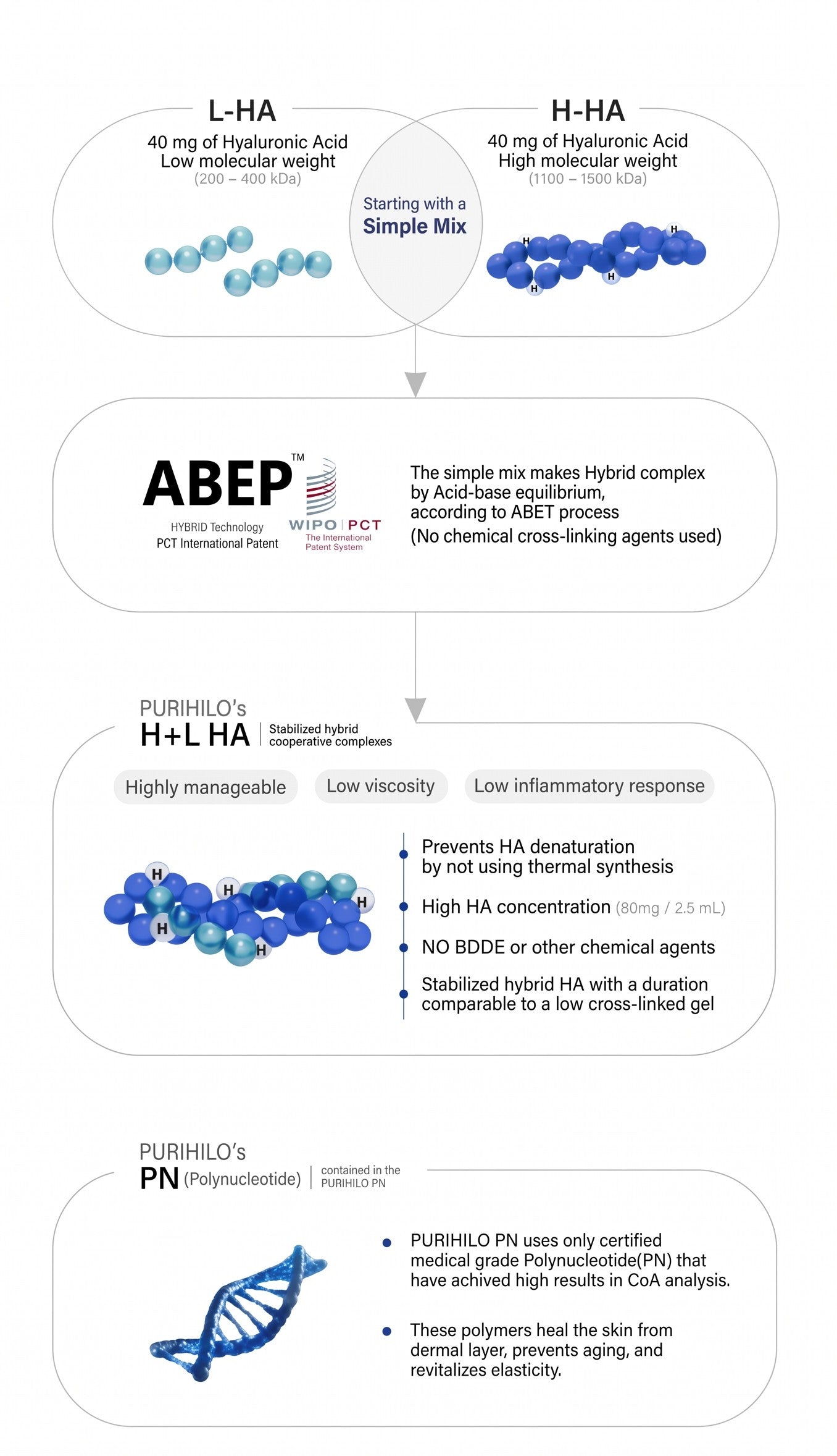 DIY Skincare Lab™ PURIHILO PN infographic showing ABEP hybrid technology, hyaluronic acid structure, and PN molecules.
