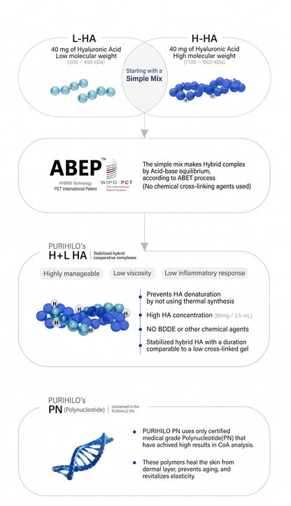 DIY Skincare Lab™ PURIHILO PN infographic showing ABEP hybrid technology, hyaluronic acid structure, and PN molecules.