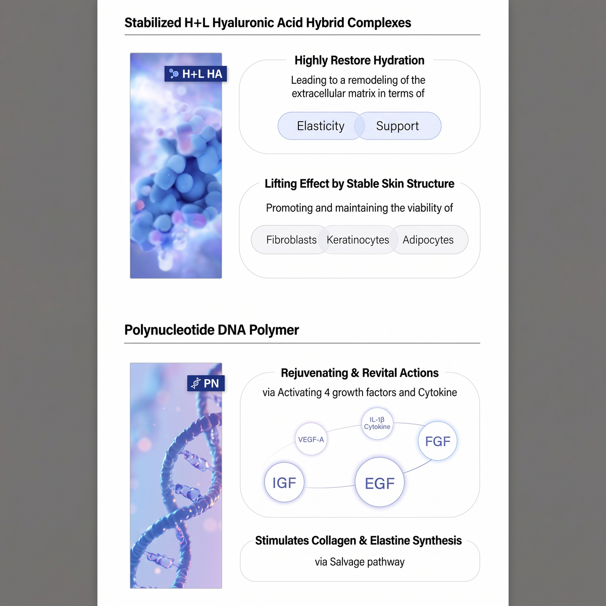 DIY Skincare Lab™ PURIHILO PN infographic showing Hyaluronic Acid and Polynucleotide skin rejuvenation benefits.