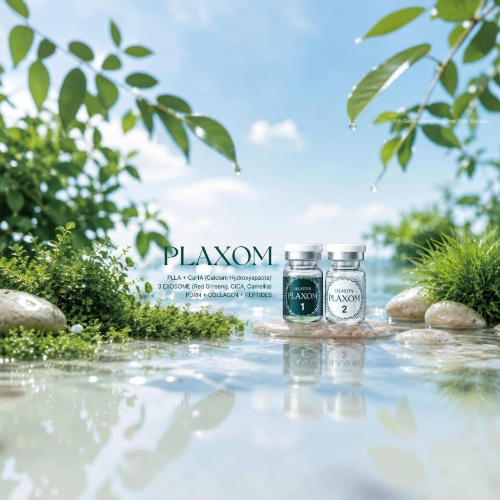 DIY Skincare Lab™ Selastin Plaxom dermal rejuvenation complex vials set on a stone in a serene, sunlit garden setting.