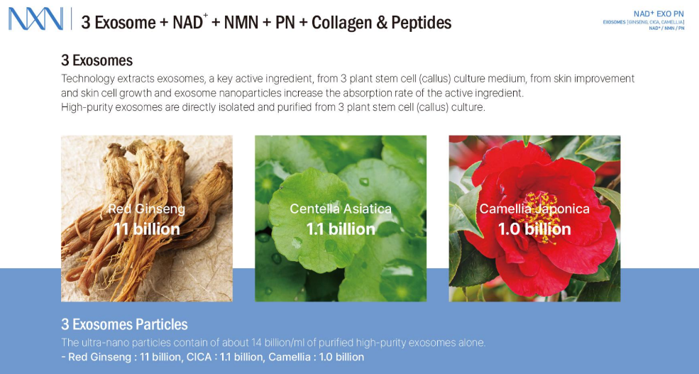 NXN - Nad+ Exo PN Skin Booster