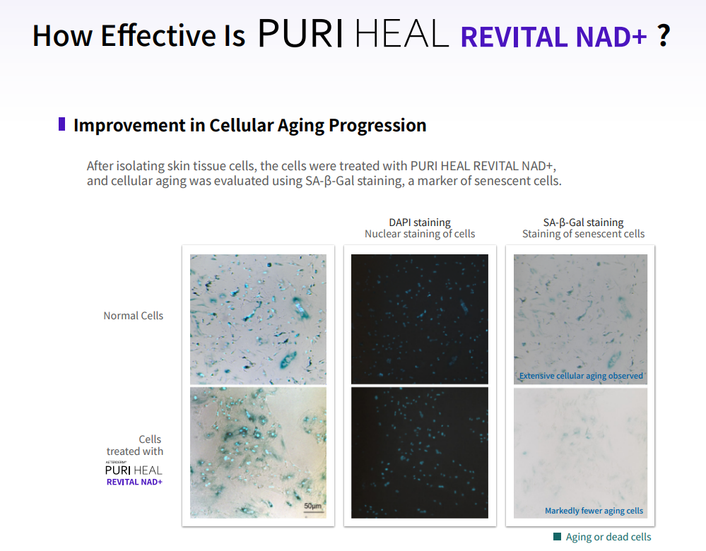 PURI Heal Revital NAD+