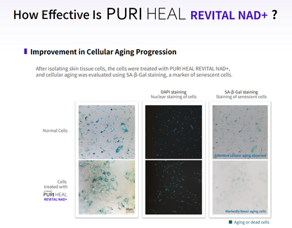 PURI Heal Revital NAD+