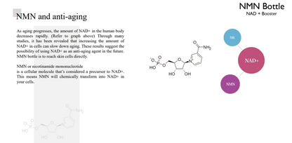 NMN Bottle (NAD+ Skin Booster)