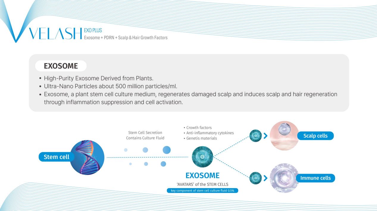 Velash Exo Plus - Exosome + PDRN + Scalp & Hair Growth Factors