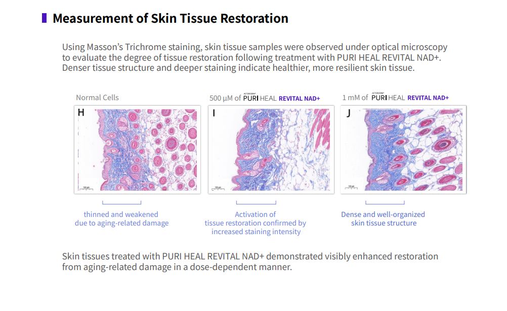 PURI Heal Revital NAD+