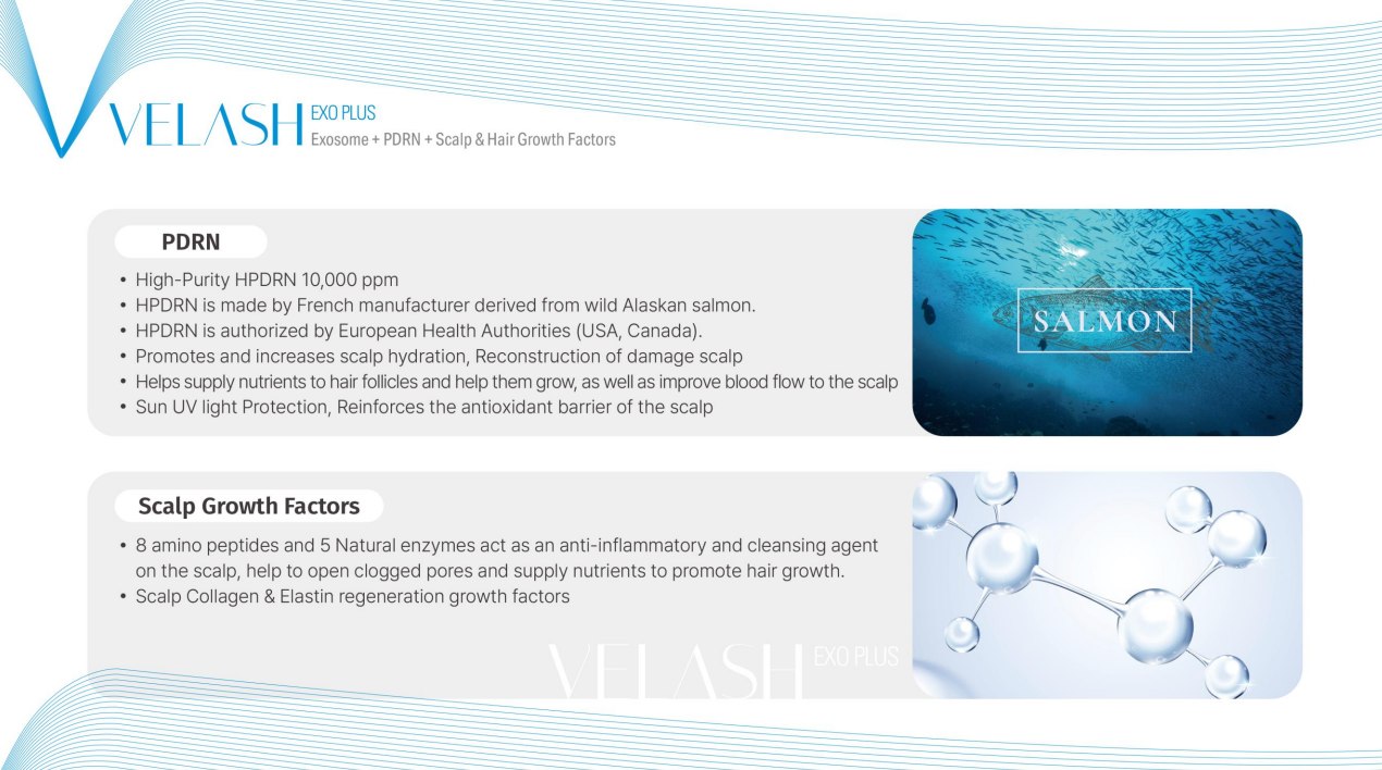 Velash Exo Plus - Exosome + PDRN + Scalp & Hair Growth Factors