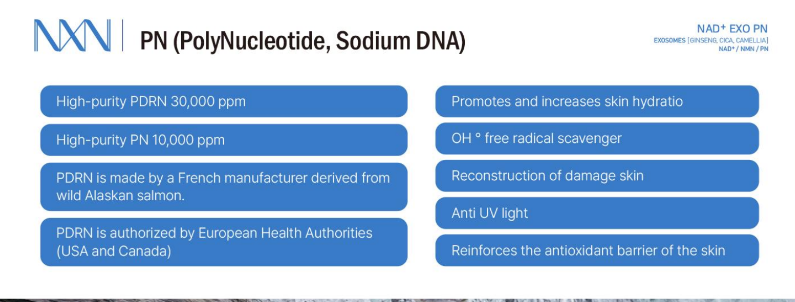NXN - Nad+ Exo PN Skin Booster