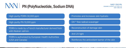 NXN - Nad+ Exo PN Skin Booster