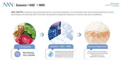 NXN - Nad+ Exo PN Skin Booster