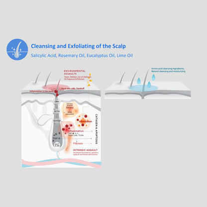 Velash SHGF11 - Scalp Advanced Clinic 11 Cell Growth Factors