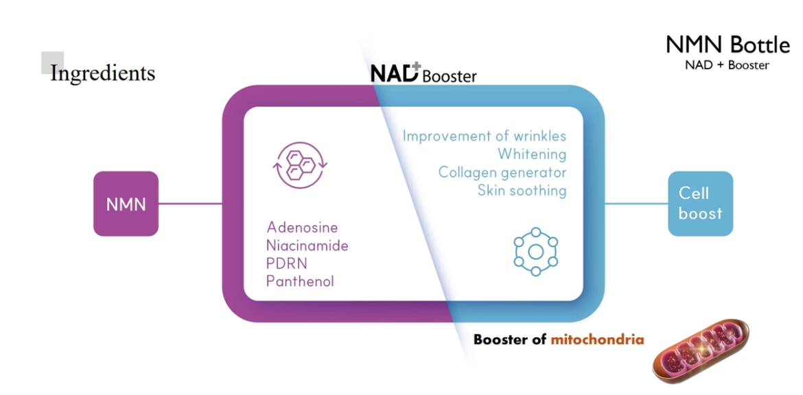 NMN Bottle (NAD+ Skin Booster)