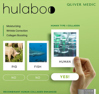 Hulaboo